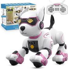 Cane Robot per Bambini, Robot