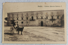 cartolina bari andria colonia agricola viaggiata 1927 formato piccolo