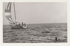 Bellissimi uomini pelosi senza