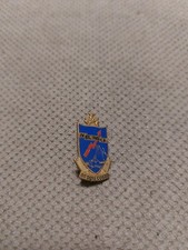 ESERCITO ALPINI spilla IV BTG