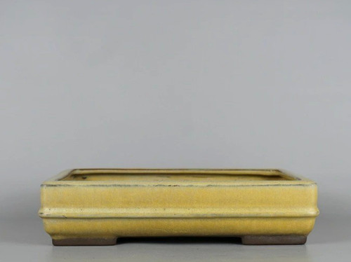 Vaso per bonsai - , giapponese