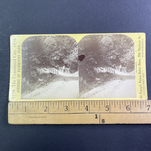 Ponte pedonale fairmount park - pedonale,