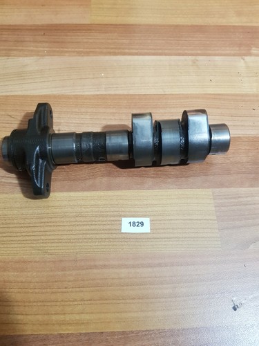 Albero camme motore - camme,