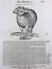 Blandy IN 1614 Melun Dottore