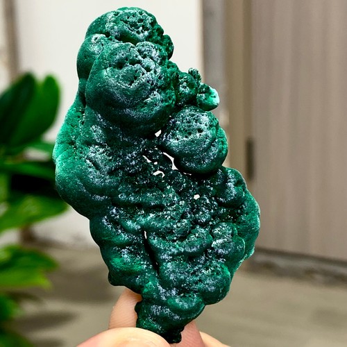 58g malachite lucida - 58g,