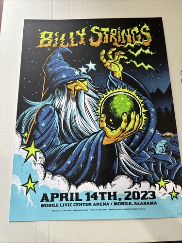 Poster billy strings - strings, 14