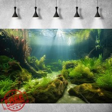 Sfondo per Acquario 24x12in