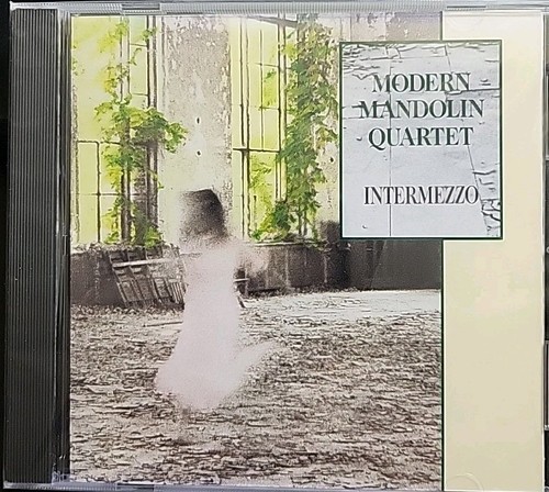 Modern mandolin quartet - mandolin, ~