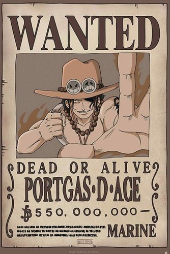 Poster maxi one piece wanted - maxi,