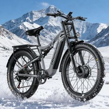 2000VV Bici Elettriche Doppio