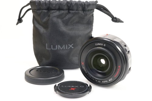 Panasonic lumix vario - g, x