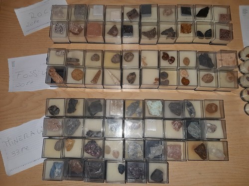 Collezione deagostini fossili - collezione,