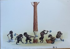 SEVERINO BARALDI - ILLUSTRAZIONE ORIGINALE per 'I CALICAZZARI'