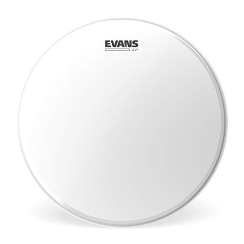 Evans tamburo - (tg.,