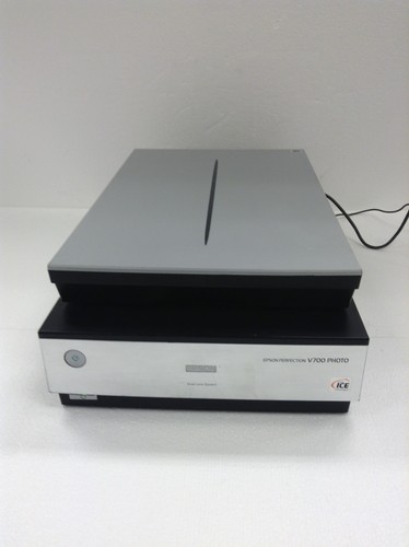 Epson perfection v700 scanner - perfection,
