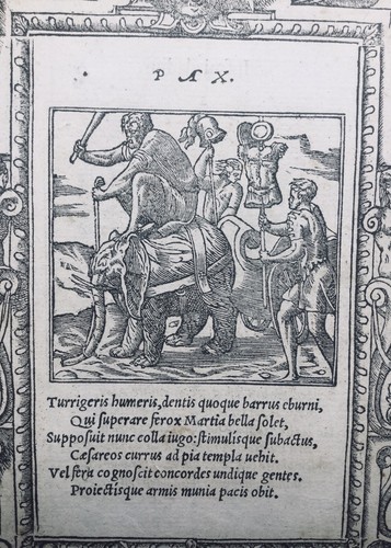 1551 gravure eléphant - 1551,