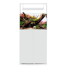 Acquario con supporto Aquael