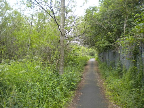 Photo 6x4 footpath north - footpath, of