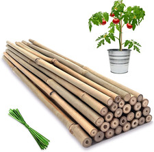 20pz Paletti per Piante in Bambù 18" Supporto da Giardino per Pomodori Fagioli Piante Veg