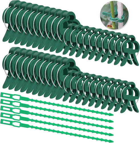 Clip per piante - 60,