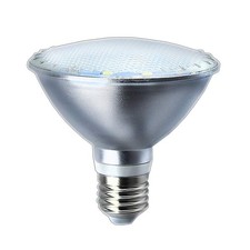 Y.W.Licht Lampadina LED PAR30