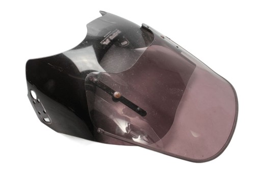 Parabrezza tinto windschild - parabrezza,