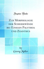 Zur Morphologie der