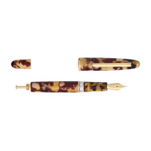 Penna stilografica esterbrook - penna,