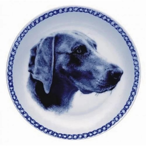 Piatto porcellana weimaraner - piatto,
