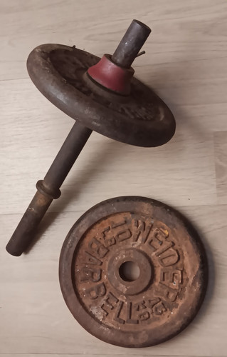 Lotto piastre pesi manubri