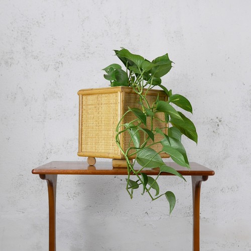 Large vintage mid - mid, century