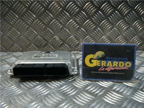 038906019fp centralina audi - 038906019fp,