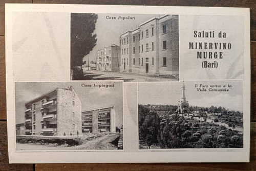 Anni minervino murge in - anni,