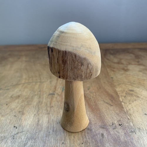 Scultura fungo legno - fungo, in