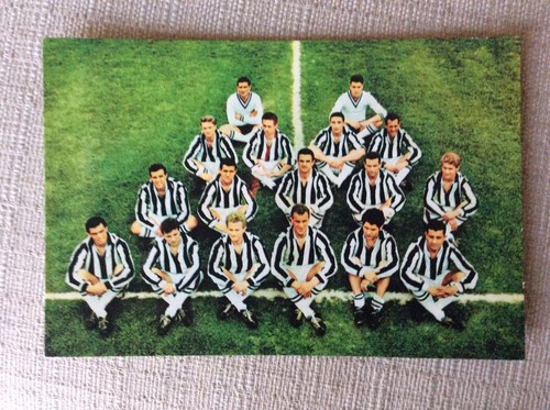 Juventus torino calcio - juventus,