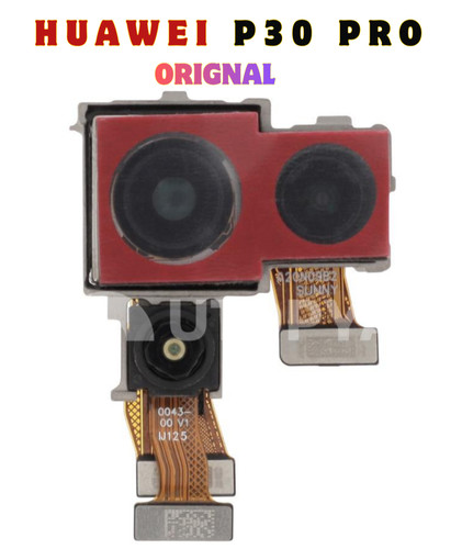 Modulo fotocamera posteriore - modulo,