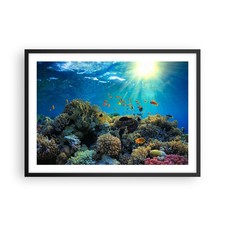 Poster 70x50cm Barriera