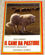 IL CANE DA PASTORE