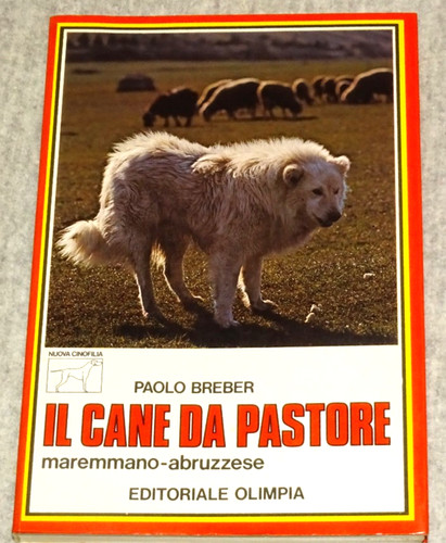 Cane pastore - cane, da