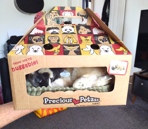 Precious petzzz carlino - petzzz,