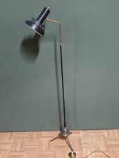 LAMPADA PIANTANA DA TERRA ANNI