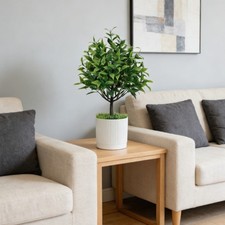 Pianta bonsai finta stile