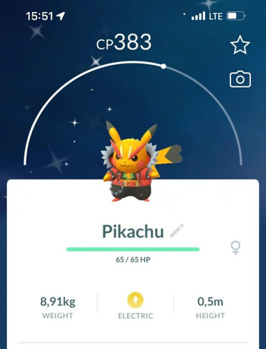 Costume pokémon pikachu - pokémon,