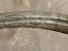 Zanna di tricheco in resina con incisioni,replica di altissima qualità,57,5 cm