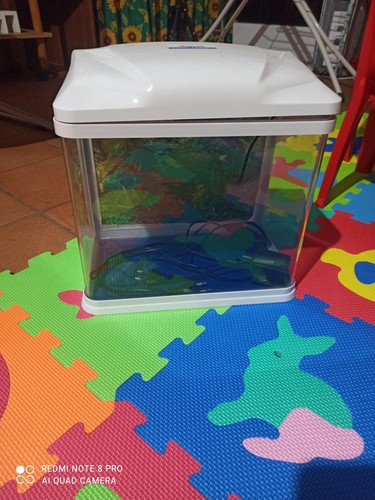 Acquario cubo - acquario,