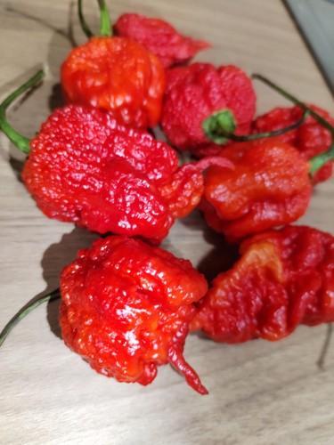 Semi peperoncino - semi,