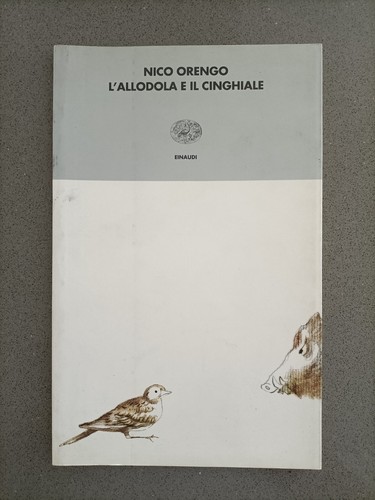 Allodola cinghiale - l'allodola,