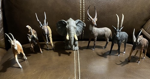 Lotto animali collezione - animali,