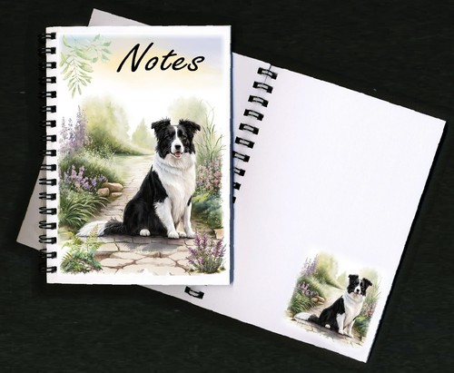 Border collie dog - collie,