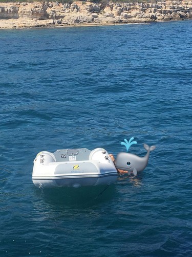 Gommone zodiac con - zodiac,